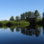 Woodhull Creek View from Kayak