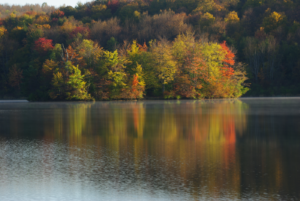 Chittening Pond 2 - October