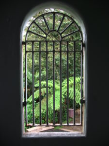 Window Grate - Puerto Rico